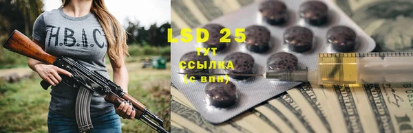 шишки Краснослободск
