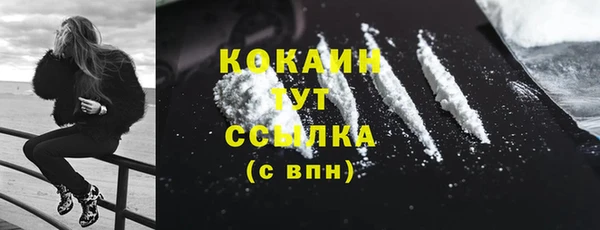 шишки Краснослободск