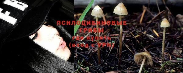 шишки Краснослободск