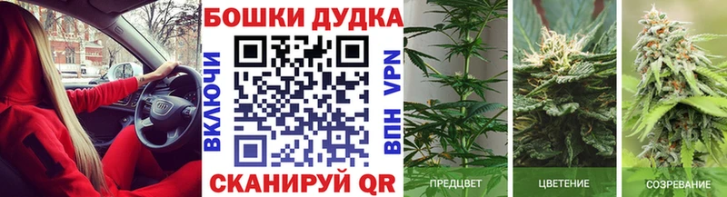 Купить закладки  Рошаль  МАРИХУАНА LSD WEED 